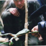 jungletripphotos018